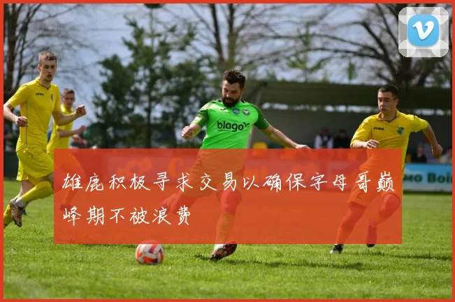 雄鹿积极寻求交易以确保字母哥巅峰期不被浪费